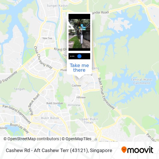Cashew Rd - Aft Cashew Terr (43121) map