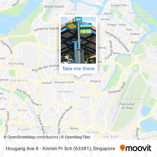 Hougang Ave 8 - Xinmin Pr Sch (63381) map