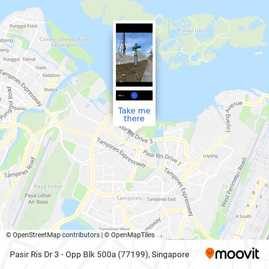 Pasir Ris Dr 3 - Opp Blk 500a (77199)地图