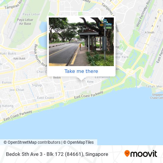 Bedok Sth Ave 3 - Blk 172 (84661) map