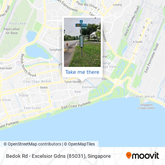 Bedok Rd - Excelsior Gdns (85031) map