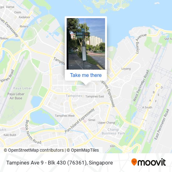 Tampines Ave 9 - Blk 430 (76361)地图