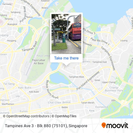 Tampines Ave 3 - Blk 880 (75101)地图