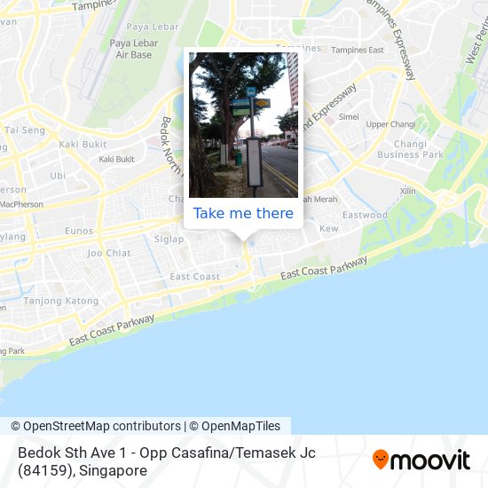 Bedok Sth Ave 1 - Opp Casafina / Temasek Jc (84159) map