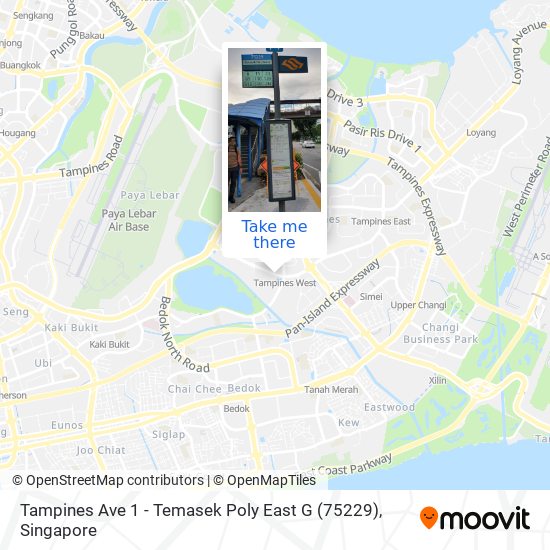 Tampines Ave 1 - Temasek Poly East G (75229) map