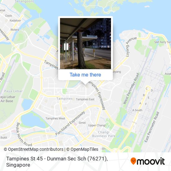 Tampines St 45 - Dunman Sec Sch (76271) map