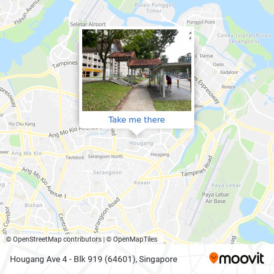 Hougang Ave 4 - Blk 919 (64601) map