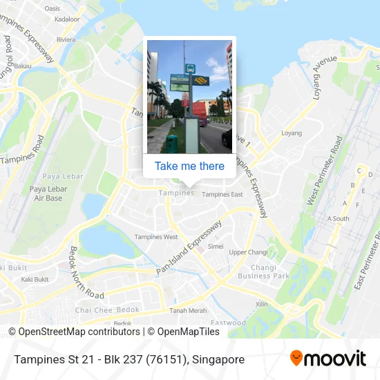 Tampines St 21 - Blk 237 (76151)地图
