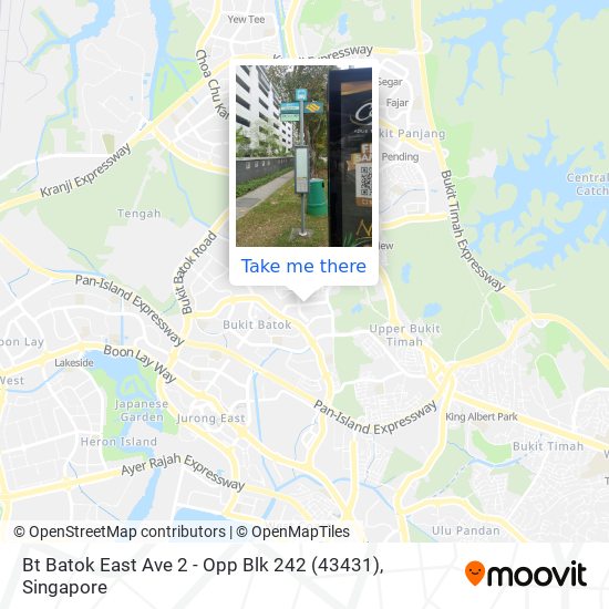 Bt Batok East Ave 2 - Opp Blk 242 (43431) map