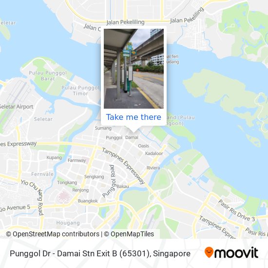 Punggol Dr - Damai Stn Exit B (65301) map