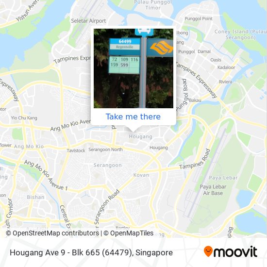 Hougang Ave 9 - Blk 665 (64479)地图