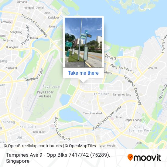 Tampines Ave 9 - Opp Blks 741 / 742 (75289) map