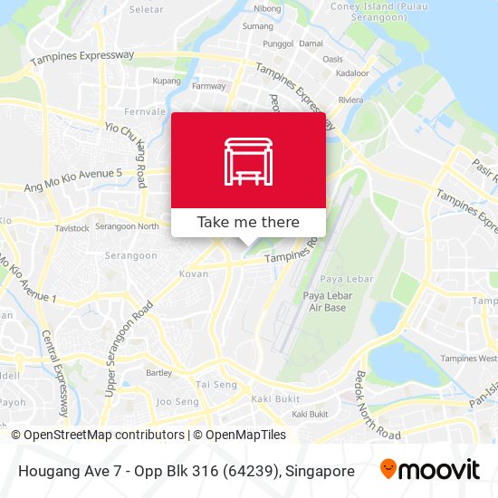 Hougang Ave 7 - Opp Blk 316 (64239) map