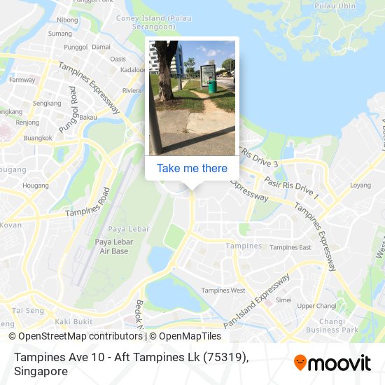 Tampines Ave 10 - Aft Tampines Lk (75319)地图