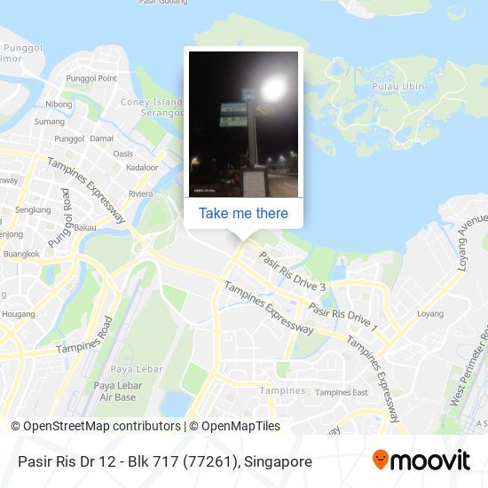 Pasir Ris Dr 12 - Blk 717 (77261) map