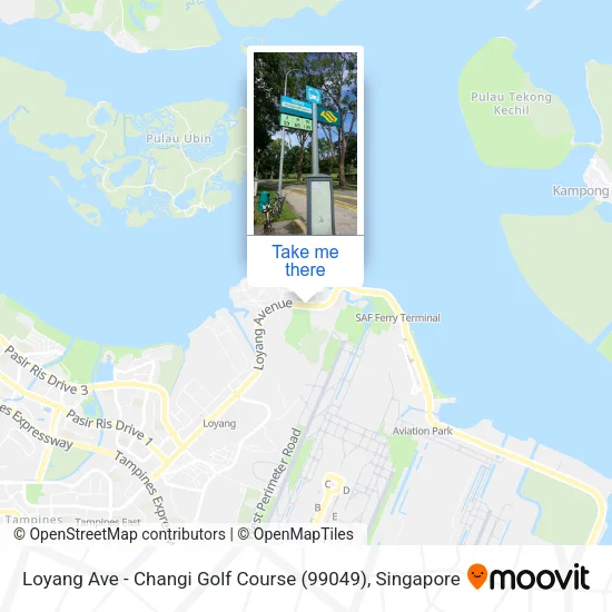Loyang Ave - Changi Golf Course (99049)地图