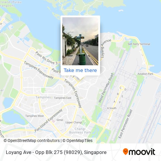 Loyang Ave - Opp Blk 275 (98029) map