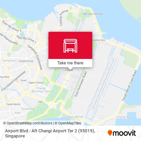 Airport Blvd - Aft Changi Airport Ter 2 (95019)地图