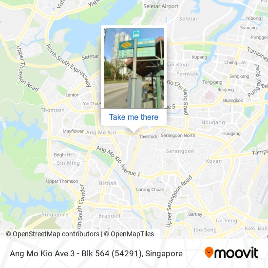 Ang Mo Kio Ave 3 - Blk 564 (54291) map