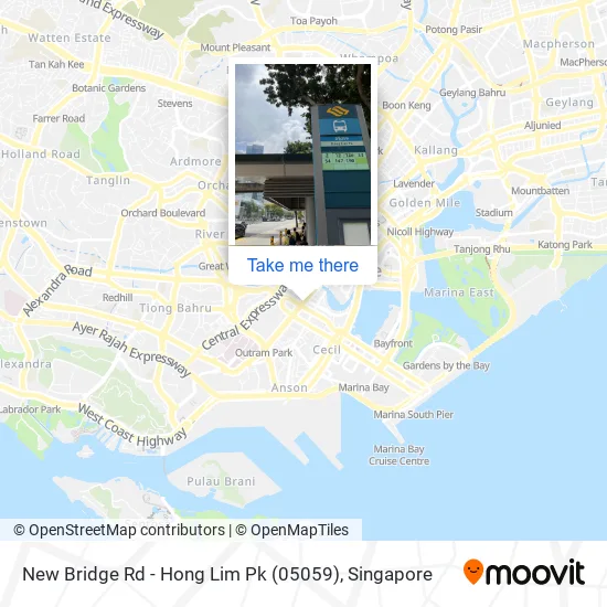 New Bridge Rd - Hong Lim Pk (05059) map