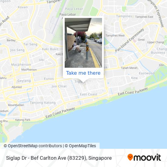 Siglap Dr - Bef Carlton Ave (83229)地图