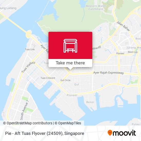 Pie - Aft Tuas Flyover (24509)地图