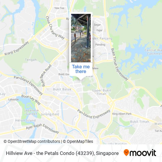 Hillview Ave - the Petals Condo (43239)地图