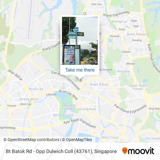 Bt Batok Rd - Opp Dulwich Coll (43761) map