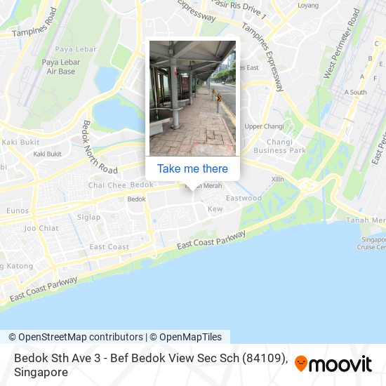 Bedok Sth Ave 3 - Bef Bedok View Sec Sch (84109)地图