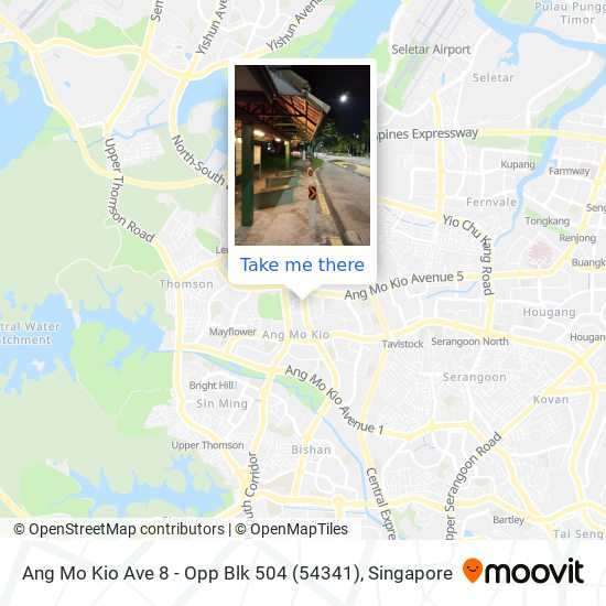 Ang Mo Kio Ave 8 - Opp Blk 504 (54341)地图