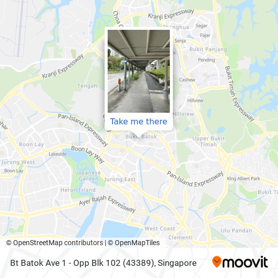Bt Batok Ave 1 - Opp Blk 102 (43389)地图
