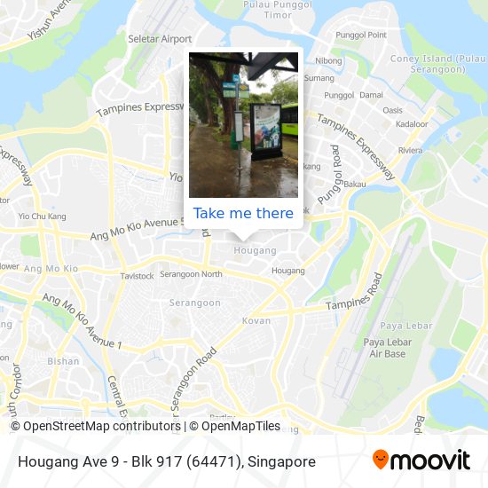 Hougang Ave 9 - Blk 917 (64471)地图