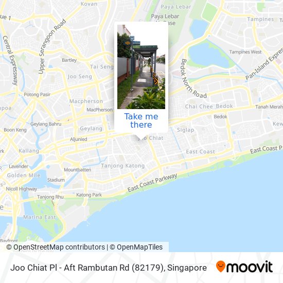 Joo Chiat Pl - Aft Rambutan Rd (82179)地图