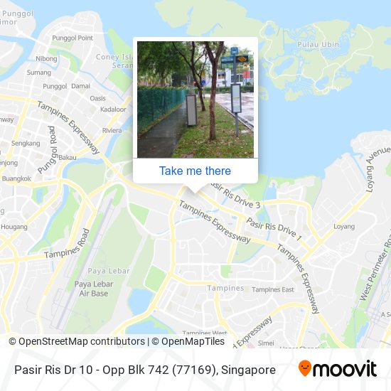 Pasir Ris Dr 10 - Opp Blk 742 (77169) map