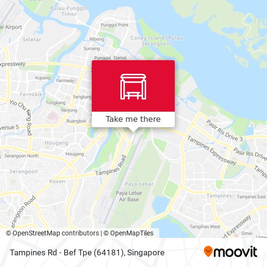 Tampines Rd - Bef Tpe (64181) map