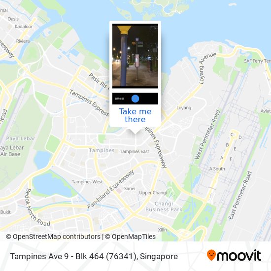 Tampines Ave 9 - Blk 464 (76341)地图