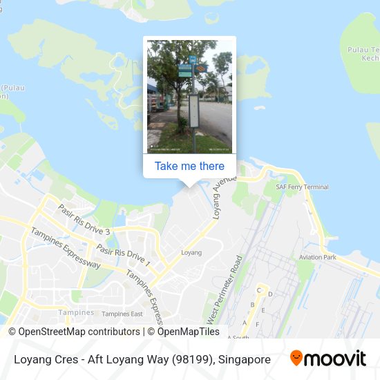 Loyang Cres - Aft Loyang Way (98199) map