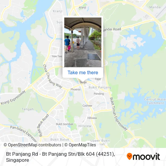 Bt Panjang Rd - Bt Panjang Stn / Blk 604 (44251)地图