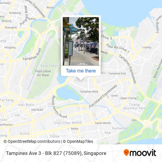 Tampines Ave 3 - Blk 827 (75089)地图
