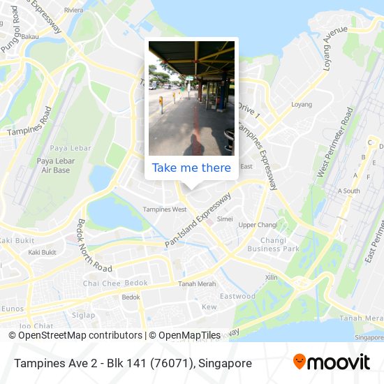 Tampines Ave 2 - Blk 141 (76071) map