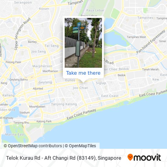 Telok Kurau Rd - Aft Changi Rd (83149)地图