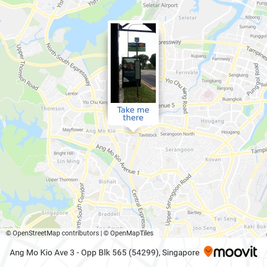 Ang Mo Kio Ave 3 - Opp Blk 565 (54299) map