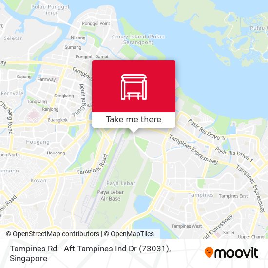 Tampines Rd - Aft Tampines Ind Dr (73031) map