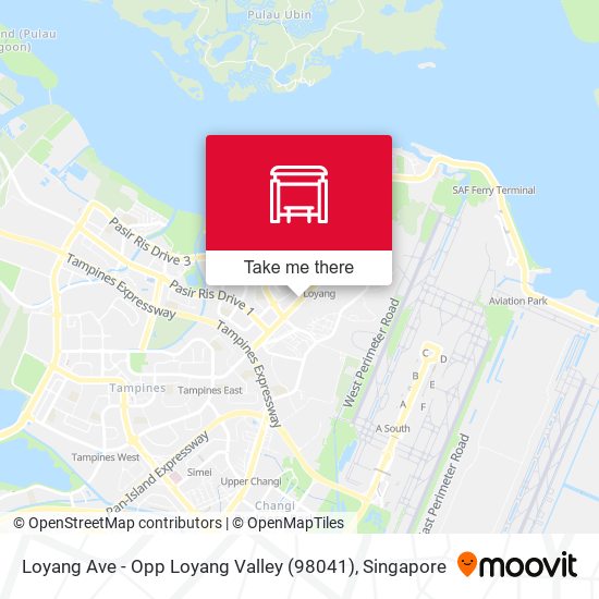 Loyang Ave - Opp Loyang Valley (98041)地图