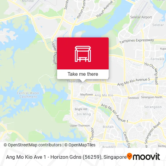 Ang Mo Kio Ave 1 - Horizon Gdns (56259)地图
