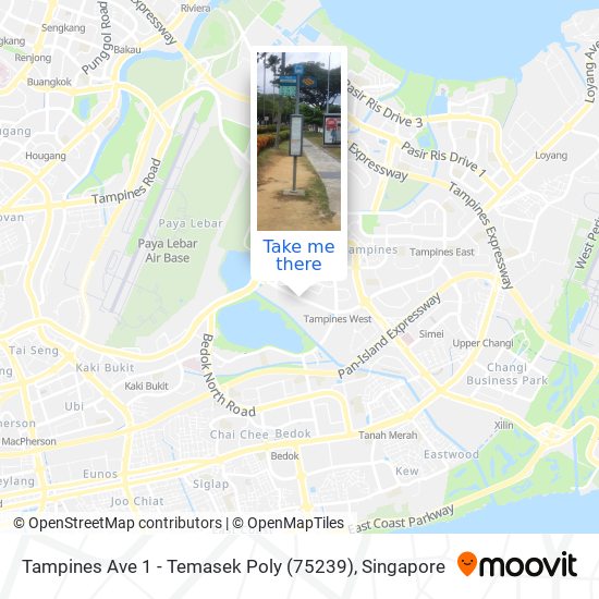 Tampines Ave 1 - Temasek Poly (75239) map