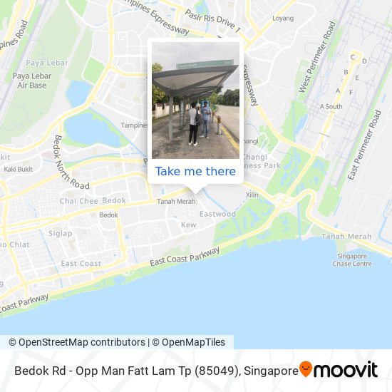 Bedok Rd - Opp Man Fatt Lam Tp (85049) map