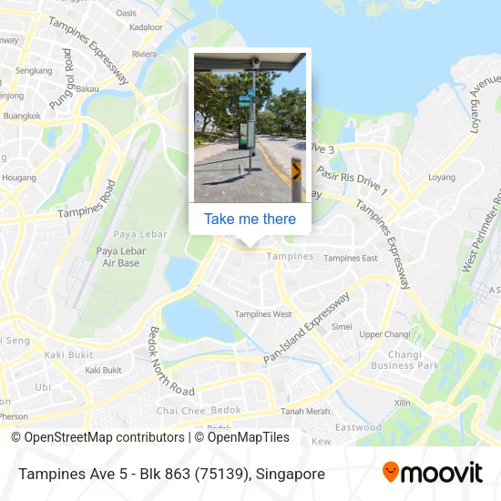 Tampines Ave 5 - Blk 863 (75139)地图