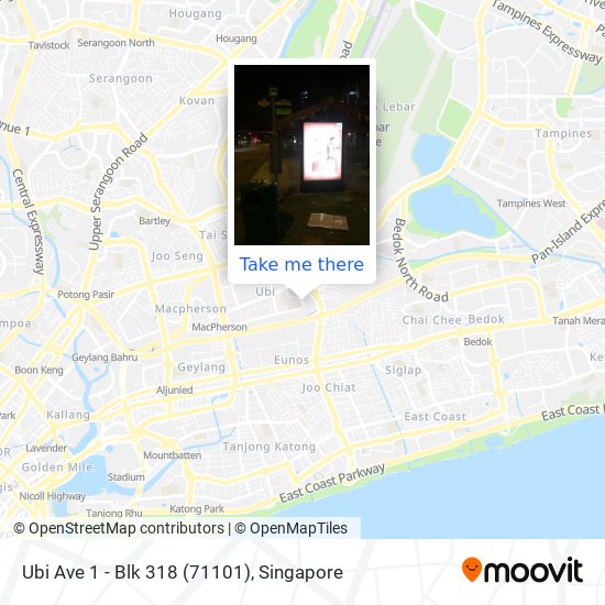 Ubi Ave 1 - Blk 318 (71101)地图