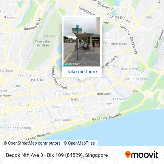 Bedok Nth Ave 3 - Blk 109 (84529)地图